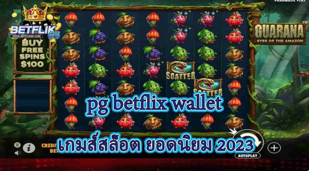 pg-betflix-wallet
